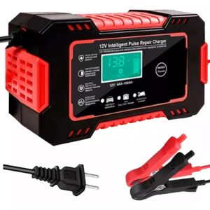 Cargador Bateria Carro Moto 12v Pantalla